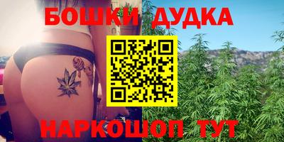 гашик Бузулук