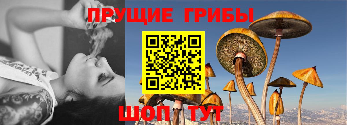 Псилоцибиновые грибы мицелий  Вход с VPN  Югорск 